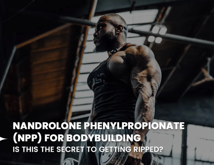Nandrolone Phenylpropionate for bodybuilding