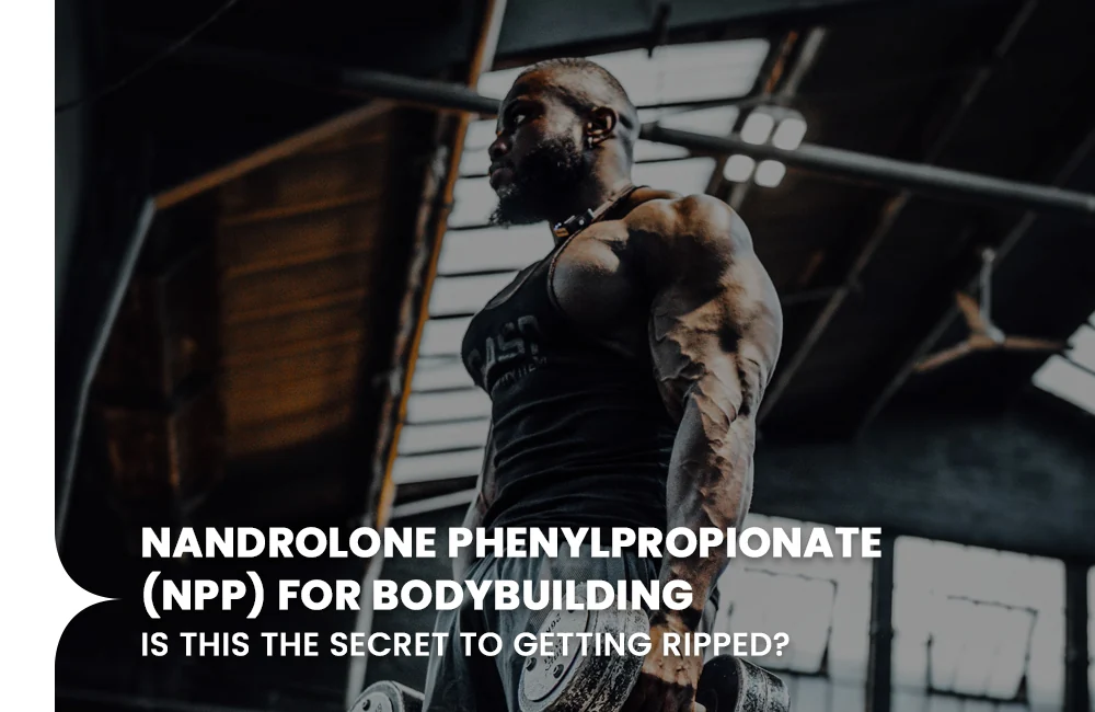 Nandrolone Phenylpropionate for bodybuilding