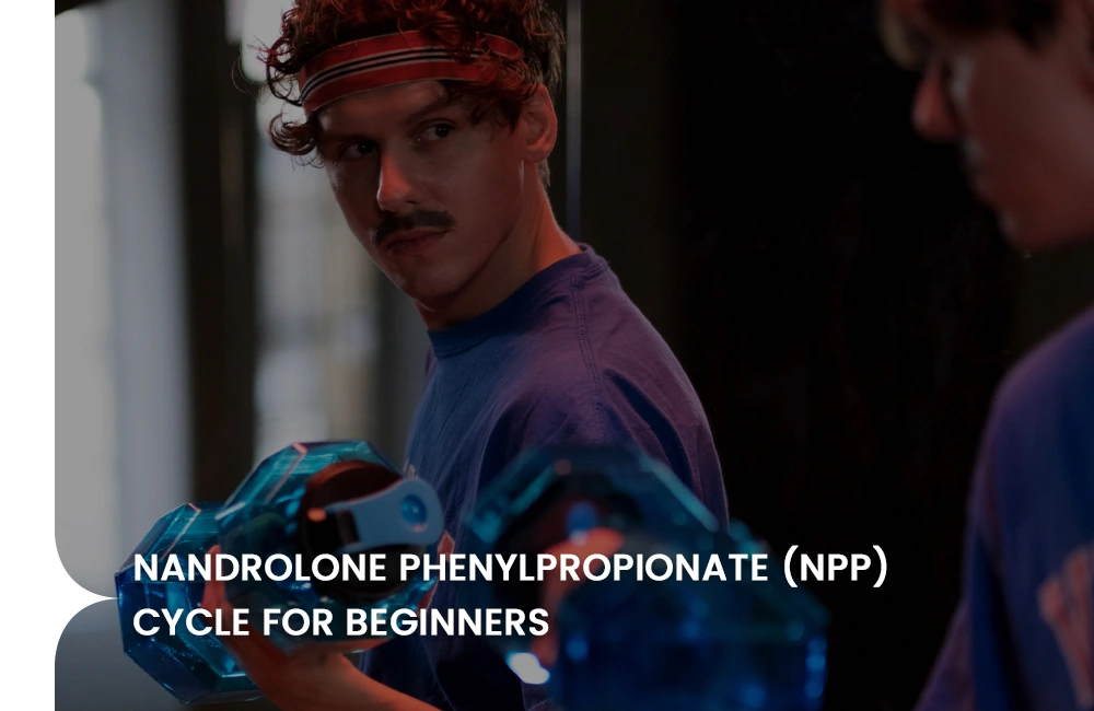 NPP beginner cycle