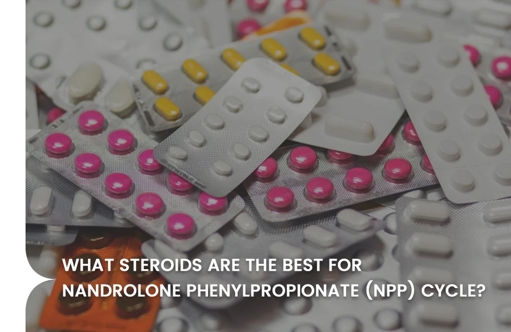 Best steroid for NPP cycle