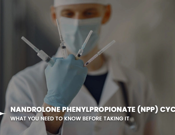 Nandrolone Phenylpropionate (NPP) Cycle