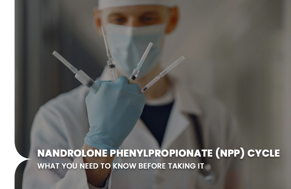 Nandrolone Phenylpropionate (NPP) Cycle