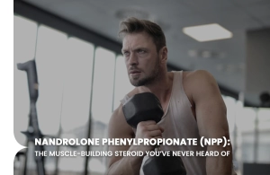 Nandrolone Phenylpropionate (NPP)