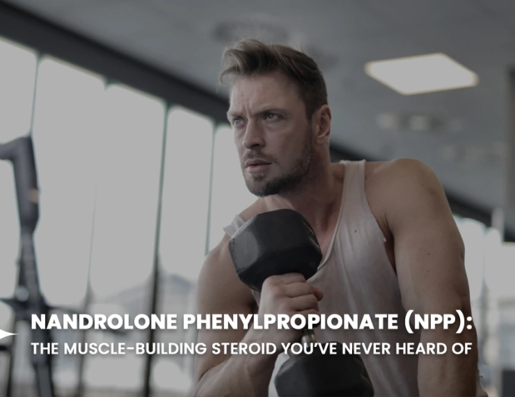 Nandrolone Phenylpropionate (NPP)