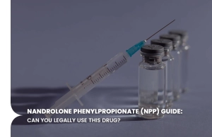 Nandrolone Phenylpropionate (NPP) Guide